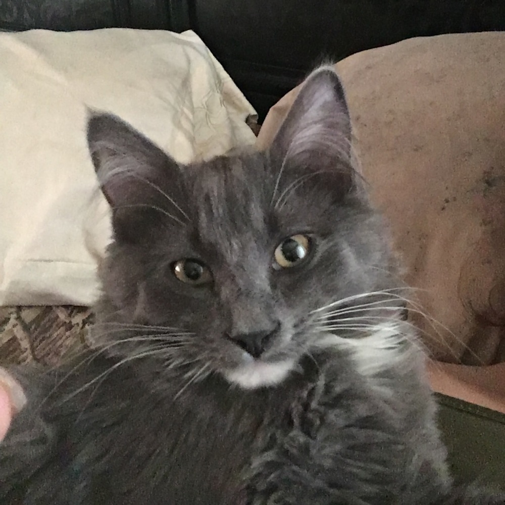 Meet your Posher, Jo